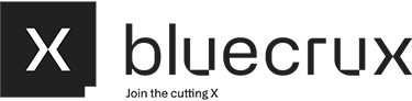 bluecrux logo