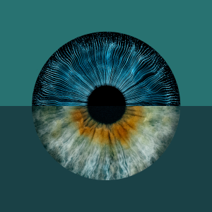 Episode art for "Where will AI make the greatest impact?", a split picture of a human's iris above an AI-simulated iris.