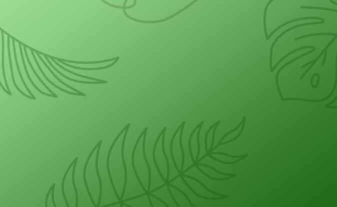 Bright green background with palm leaves.