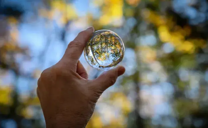 Hand holding a glass lens. The lens inverts the background landscape of trees in a forest.