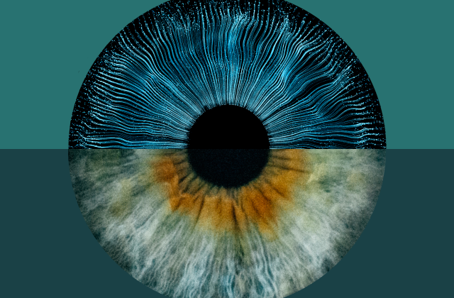 Where will AI make the greatest impact?