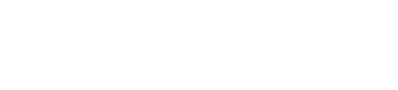 Bluecrux Kinaxis Partner Logo