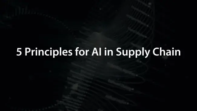 5 Principles AI